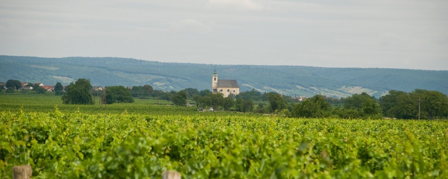 Makler Region Eisenstadt